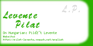 levente pilat business card